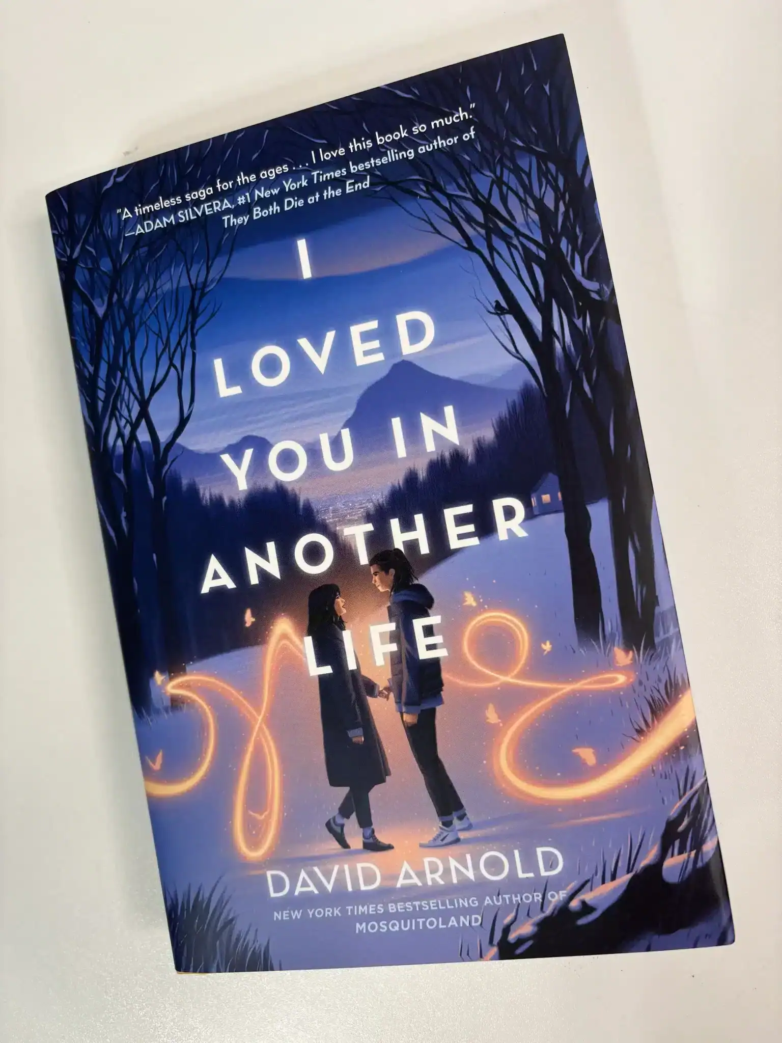Book Review: I Loved You in Another Life by David Arnold