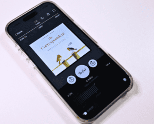 The Correspondent by Virginia Evans Review