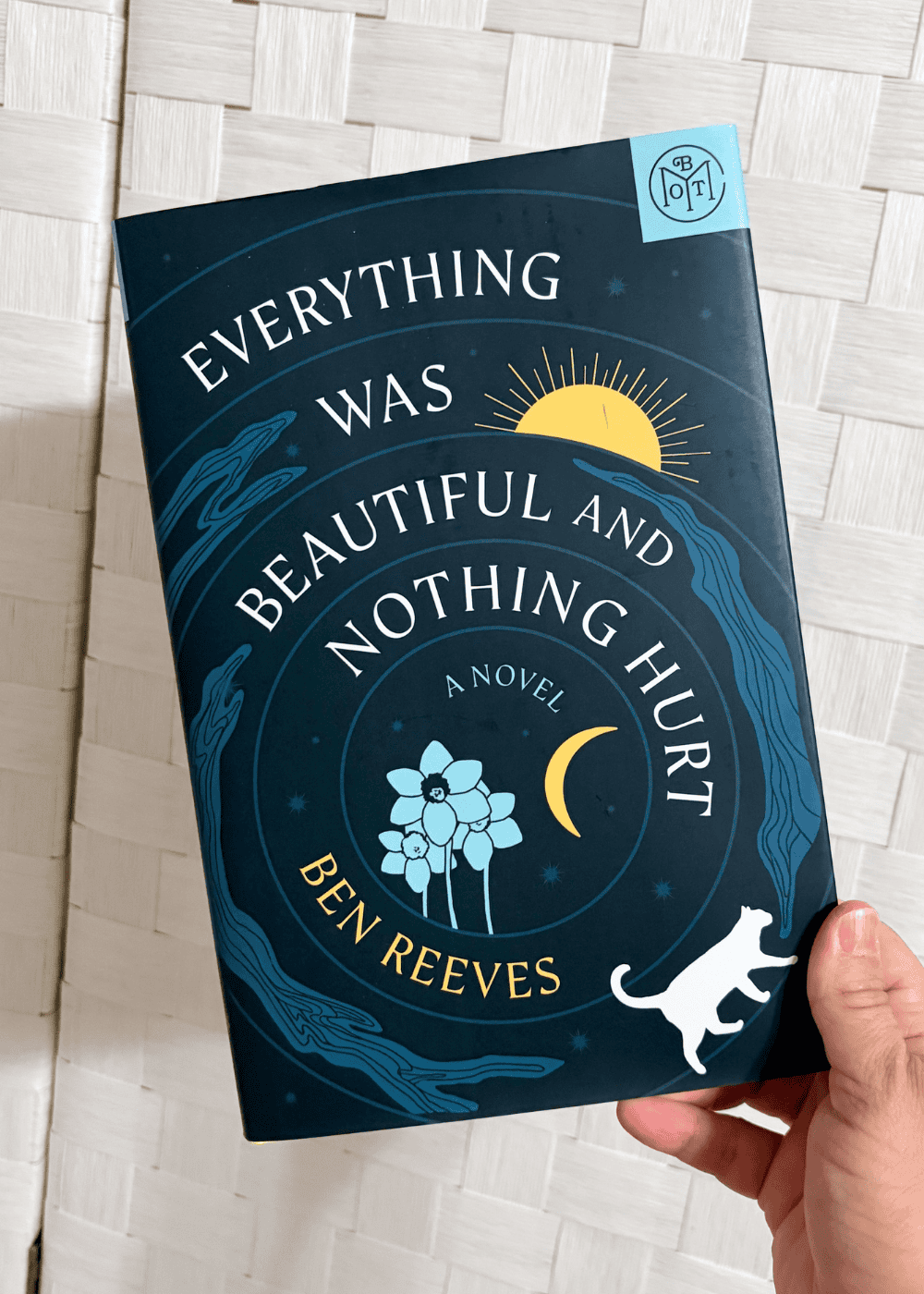 Book Review: Everything was Beautiful and Nothing Hurt by Ben Reeves